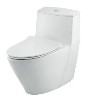 Bồn Cầu 1 Khối INAX AC-919VRN - Nội Thất Ngọc Thúy