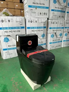 Hình ảnh Bồn Cầu Một Khối XT Pro Đen Bóng | Thiết Bị Vệ Sinh Bình Dương
