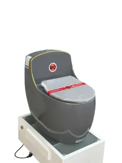 Bồn Cầu Một Khối Hình Trứng Xám Bóng Viền Vàng | Thiết Bị Vệ Sinh Bình Dương - Nội Thất Ngọc Thúy